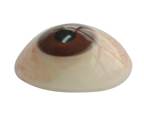 忻州微雕义眼定制